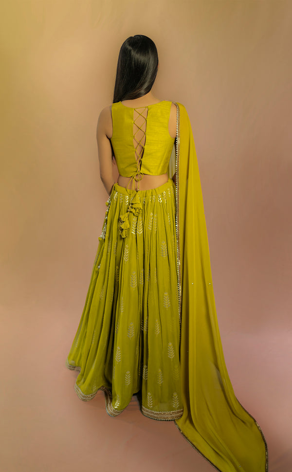 Olive Branch | Marigold - An Indian Clothing Rental Company